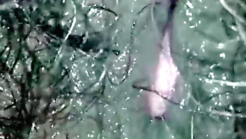 Hairy girl with a hairy pussy gets fingered by her boyfriend