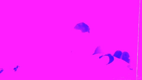 Indian webcam girl showing off her big ass and boobs