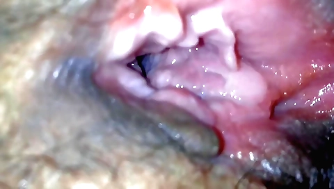 Hindi amateur sex video 1387d097d50859f07176d903a899589d